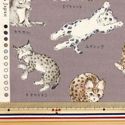 [Cantidad a partir de 5] Tela 『Oxford Enciclopedia Serie Cat-City YPA-61000-1C" KOKKA