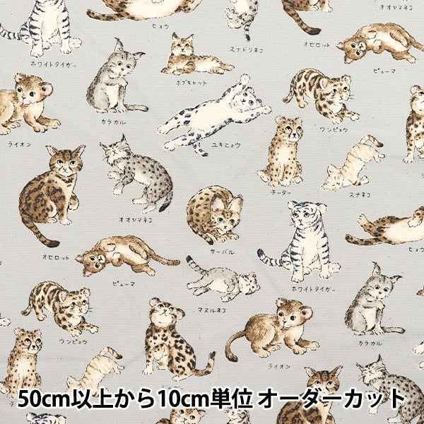 [Quantity starting from 5] Fabric 『Oxford Encyclopedia series Cat-city YPA-61000-1D" KOKKA