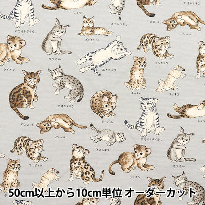 [Quantity starting from 5] Fabric 『Oxford Encyclopedia series Cat-city YPA-61000-1D" KOKKA