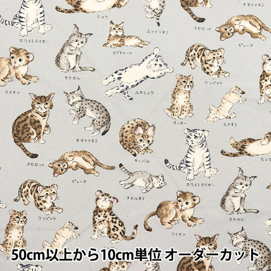 [Quantity starting from 5] Fabric 『Oxford Encyclopedia series Cat-city YPA-61000-1D" KOKKA
