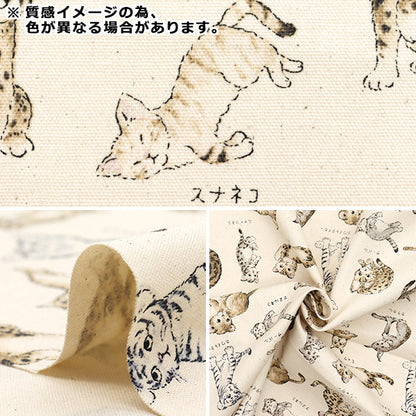 [Quantity starting from 5] Fabric 『Oxford Encyclopedia series Cat-city YPA-61000-1D" KOKKA