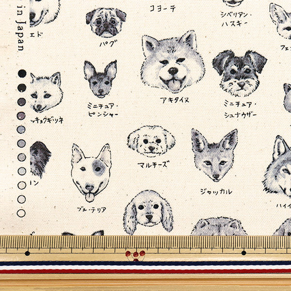 数量5から】 生地 『オックス 図鑑シリーズ 犬科 YPA-61000-2B』 KOKKA