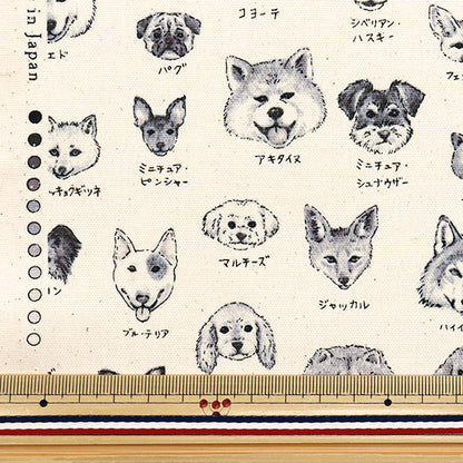 [Quantità a partire da 5] Tessuto 『Oxford Serie di libri illustrati Dogs YPA-61000-2b" KOKKA