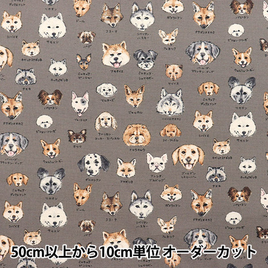 【数量5から】 生地 『オックス 図鑑シリーズ 犬科 YPA-61000-2C』 KOKKA コッカ