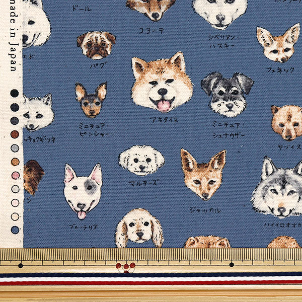 [Quantity starting from 5] Fabric 『Oxford Encyclopedia series Dogsai YPA-61000-2D" KOKKA