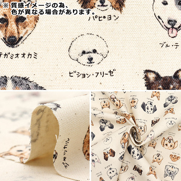 数量5から】 生地 『オックス 図鑑シリーズ 犬科 YPA-61000-2D』 KOKKA