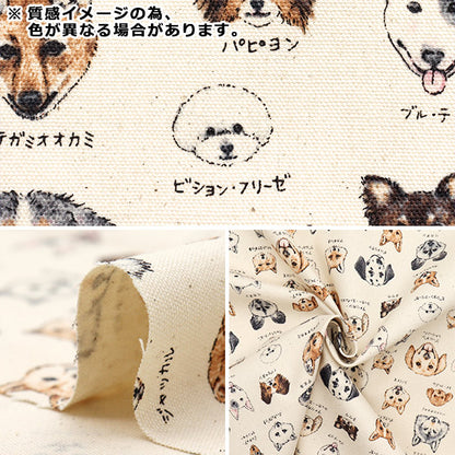 [Quantity starting from 5] Fabric 『Oxford Encyclopedia series Dogsai YPA-61000-2D" KOKKA