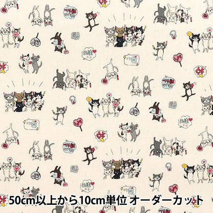 [الكمية تبدأ من 5] الأقمشة 『الأغطية قطط مضحكة التلبيدCat Kinari YKA-31050-1A" KOKKA