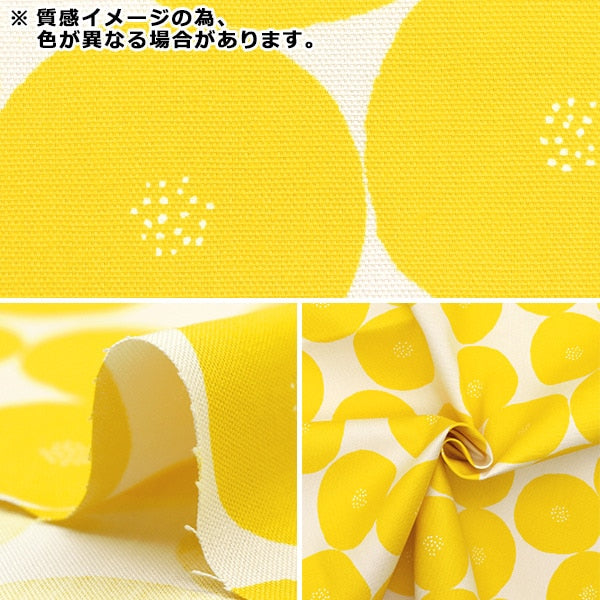【数量5から】 生地 『マディワークス オーガニックオックス あんぱん キナリ×グレージュ EKX-1160-E』 KOKKA コッカ