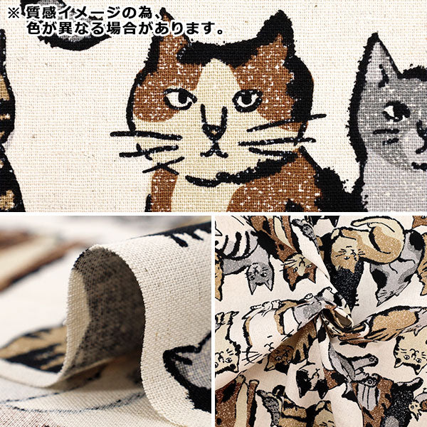 【数量5起】 織物 棉麻画布Art CAT海军YGA-86020-1E" KOKKA