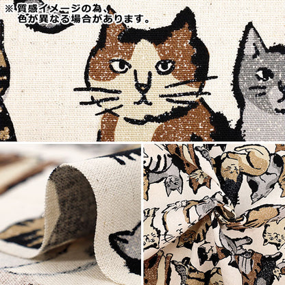 【数量5起】 織物 棉麻画布Art CAT海军YGA-86020-1E" KOKKA