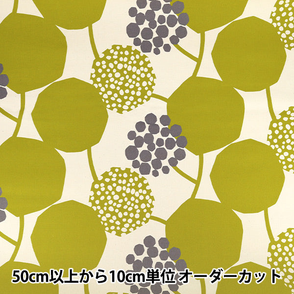 【数量5起】 織物 "echino CROP 9.5号帆布kinari × EKX98100-100A" KOKKA