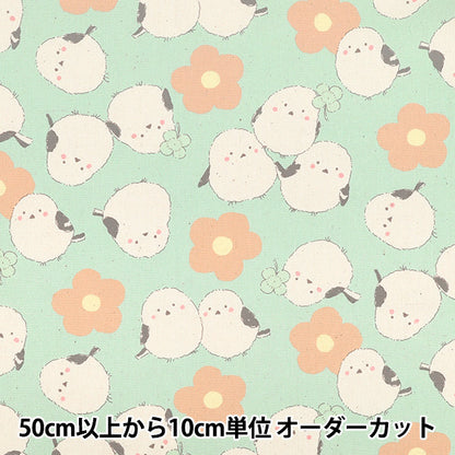 【数量5起】 織物 『牛津布 粉彩凤蝶绿色yka - 3930 - 2c" KOKKA