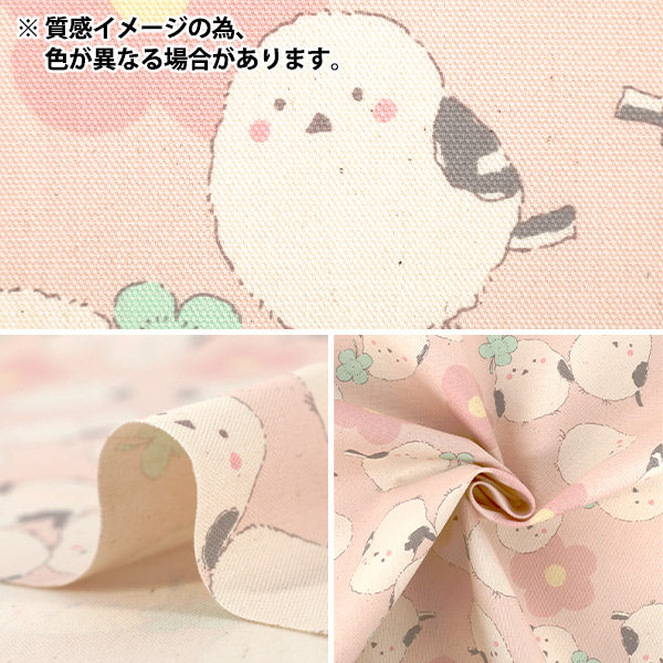 【数量5起】 織物 『牛津布 粉彩凤蝶绿色yka - 3930 - 2c" KOKKA