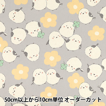 【数量5起】 織物 『牛津布 粉彩凤蝶灰色YKA-39030-2D" KOKKA