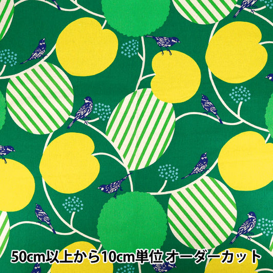 【数量5から】 生地 『echino (エチノ) 綿麻キャンバス pepe グリーン EKX-98160-61C』 KOKKA コッカ