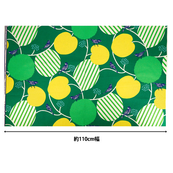 [数量5起] 织物 "刺猬棉亚麻帆布佩佩绿色 EKX-98160-61C" KOKKA