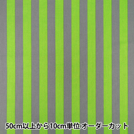 [Anzahl ab 5] Stoff "leinwandbindung „Candy Party Stripe Hellgrün x Grau HA-3030-10E“ KOKKA