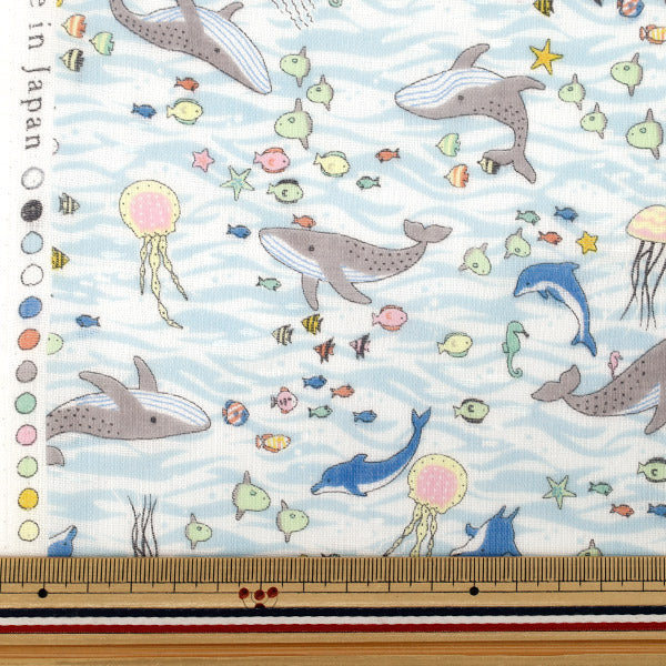 【数量5から】 生地 『Wガーゼ In the polar warld 海の動物 2B YKA-41000-2B』 KOKKA コッカ