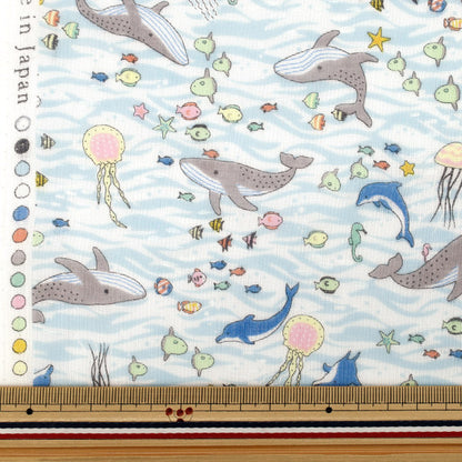 【数量5から】 生地 『Wガーゼ In the polar warld 海の動物 2B YKA-41000-2B』 KOKKA コッカ