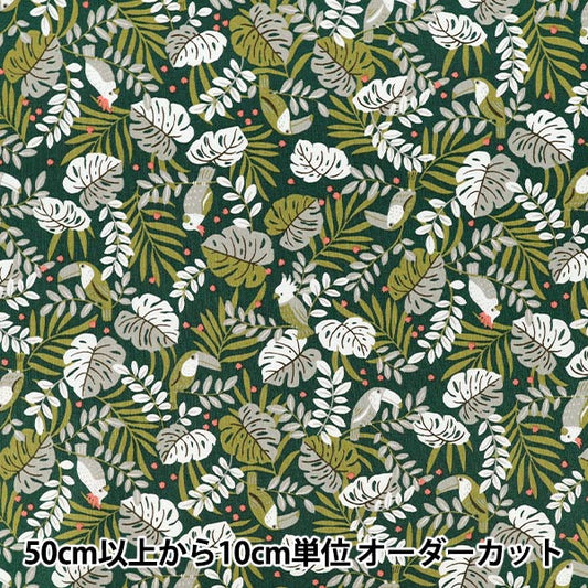 【数量5起】 織物 "板材織物 简单度假丛林yga - 9110 - 2c KOKKA