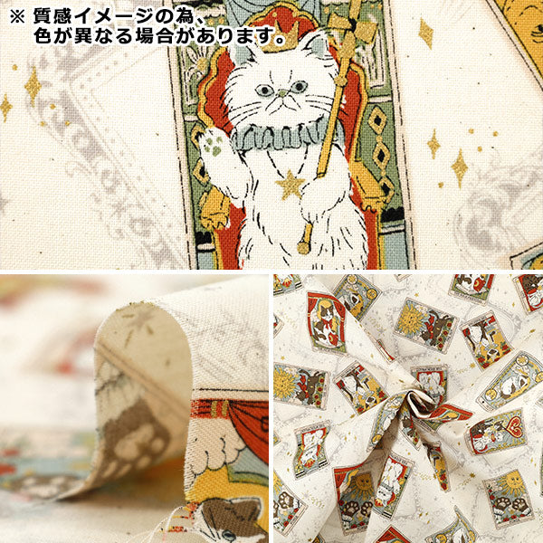 【数量5起】 織物 "板材織物 塔罗牌猫图案紫YGA-91050-1C
