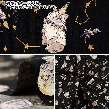 【数量5起】 織物 "板材織物 星座猫YGA-91050-2B KOKKA