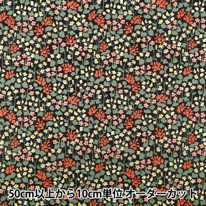 【数量5から】 生地 『MUDDY WORKS(マディワークス) オーガニックローン Garden クロ×アカ EKX-151-1D』 KOKKA コッカ