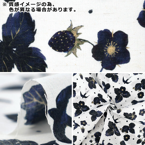 【数量5から】 生地 『yui 綿麻コンパス 2026 a little wish EPX-6433-1A』 KOKKA コッカ