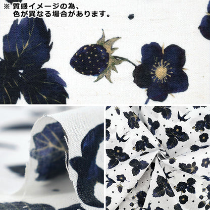 【数量5から】 生地 『yui 綿麻コンパス 2026 a little wish EPX-6433-1A』 KOKKA コッカ