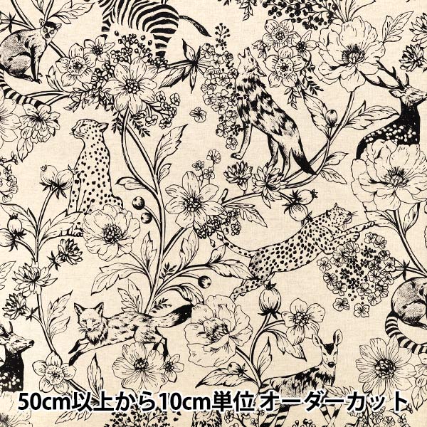 【数量5から】 生地 『echino(エチノ) 綿麻キャンバス wonder ナチュラル EKX-98170-70B』 KOKKA コッカ