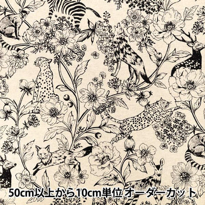 【数量5から】 生地 『echino(エチノ) 綿麻キャンバス wonder ナチュラル EKX-98170-70B』 KOKKA コッカ