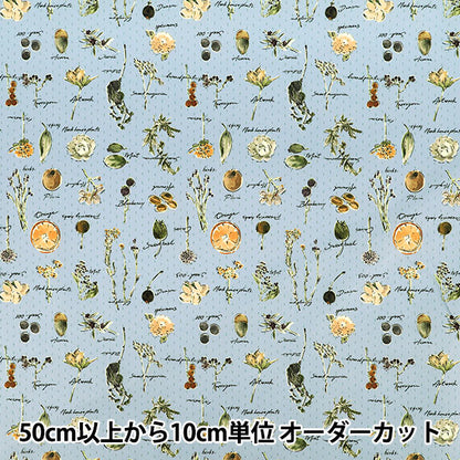 [Quantità da 5] Tessuto "Elastico in poliestere super idrorepellenteNastro Striscia di fiori secchi blu HP-DFL2-BL”