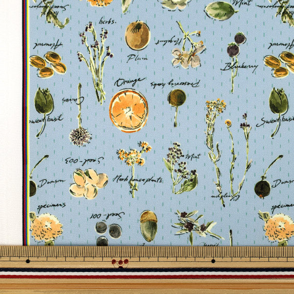 [Quantità da 5] Tessuto "Elastico in poliestere super idrorepellenteNastro Striscia di fiori secchi blu HP-DFL2-BL”