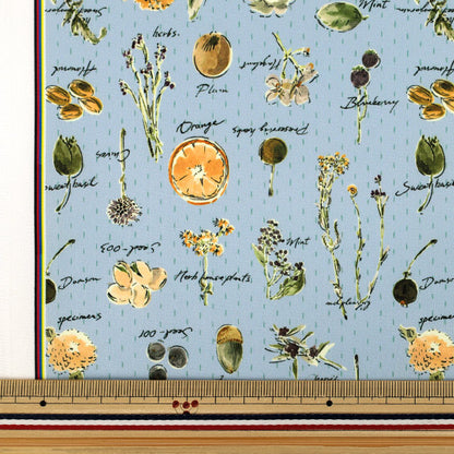 [Quantità da 5] Tessuto "Elastico in poliestere super idrorepellenteNastro Striscia di fiori secchi blu HP-DFL2-BL”