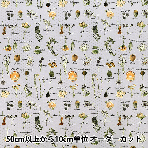 [Quantity from 5] Fabric "Super water repellent poly scrunchieRibbon Dried flower stripe gray HP-DFL2-GY”