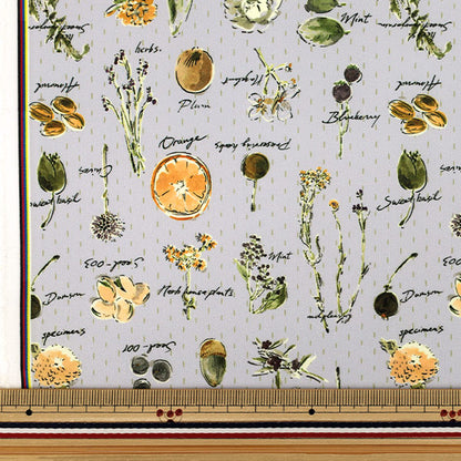 [Quantity from 5] Fabric "Super water repellent poly scrunchieRibbon Dried flower stripe gray HP-DFL2-GY”