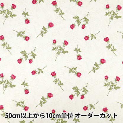【数量5から】 生地 『シャーティング wrapping paper クリーム×ビビッドレッド』 YUWA 有輪商店