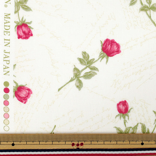 【数量5から】 生地 『シャーティング wrapping paper クリーム×ビビッドレッド』 YUWA 有輪商店