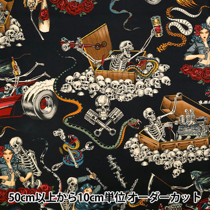 【数量5から】 生地 『USAコットン シーチング ALEXANDER HENRY denim&demons 9045-AR』