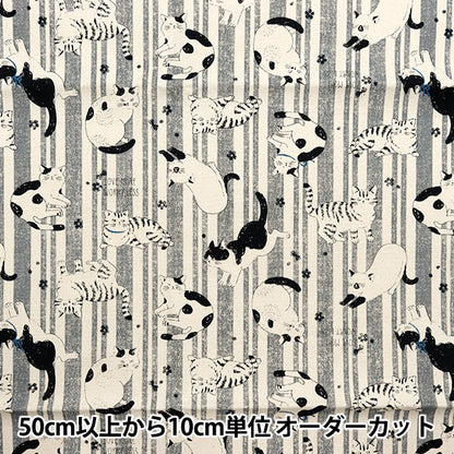 [Dalla quantità 5] Tessuto "Nova Oxford Nyakkolley grigio Nox-nya-gy" KOKKA 【Yuzawayaoriginale】