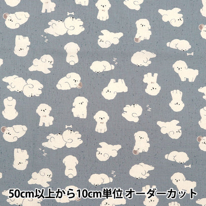 【数量5から】 生地 『NOVA シーチング ビション・フリーゼ ブルーグレー NSE-BIC-BLGY』 KOKKA コッカ 【ユザワヤオリジナル】