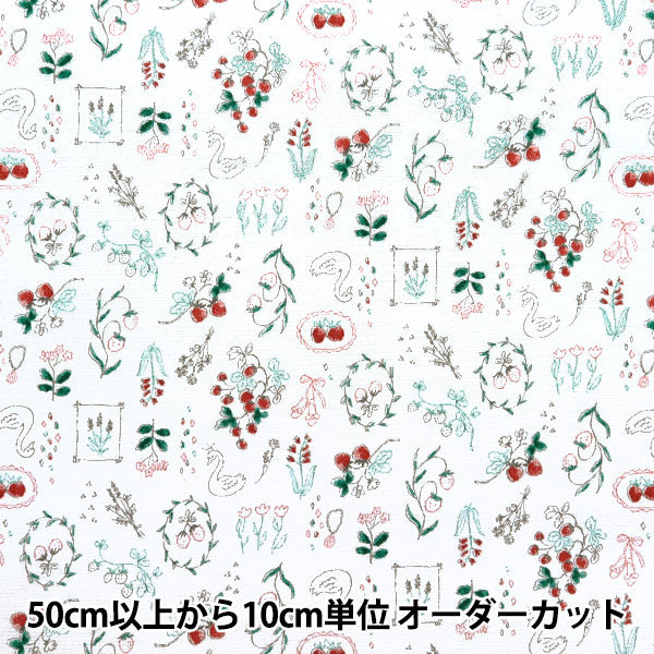 [De la quantité 5] Tissu "Nova Oxford Boîte à bijoux Ichigo White Nox-Jstr-WH" KOKKA 【Yuzawayaoriginal】