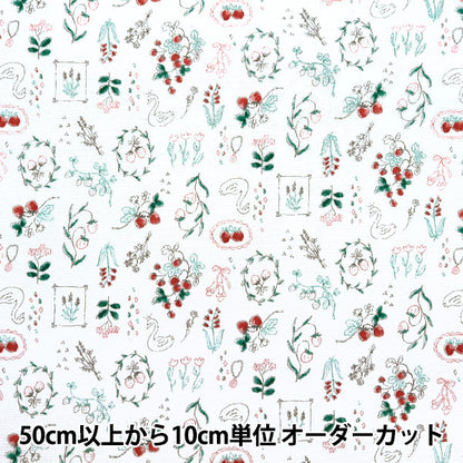 [De la quantité 5] Tissu "Nova Oxford Boîte à bijoux Ichigo White Nox-Jstr-WH" KOKKA 【Yuzawayaoriginal】