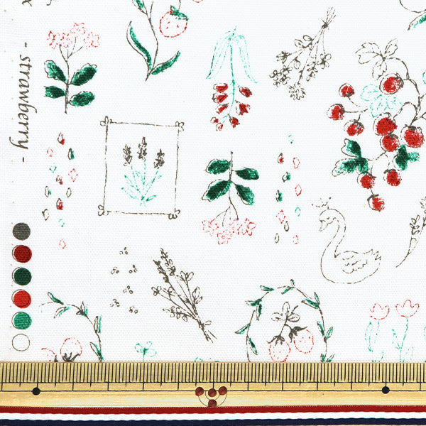 [De la quantité 5] Tissu "Nova Oxford Boîte à bijoux Ichigo White Nox-Jstr-WH" KOKKA 【Yuzawayaoriginal】