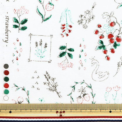 [De la quantité 5] Tissu "Nova Oxford Boîte à bijoux Ichigo White Nox-Jstr-WH" KOKKA 【Yuzawayaoriginal】