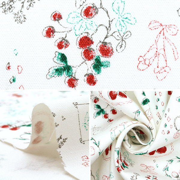 [De la quantité 5] Tissu "Nova Oxford Boîte à bijoux Ichigo White Nox-Jstr-WH" KOKKA 【Yuzawayaoriginal】