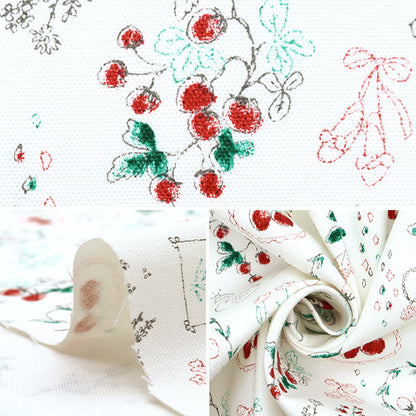 [De la quantité 5] Tissu "Nova Oxford Boîte à bijoux Ichigo White Nox-Jstr-WH" KOKKA 【Yuzawayaoriginal】