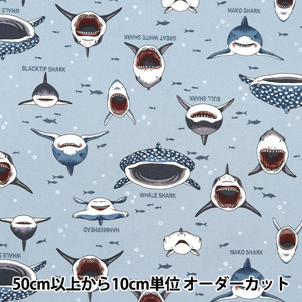 【数量5から】 生地 『オックス カラフルキャンバス サメサメシャーク くすみブルー COCAN-SHA-KBL』 KOKKA コッカ