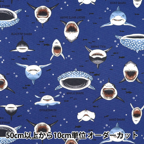 【数量5から】 生地 『オックス カラフルキャンバス サメサメシャーク ネイビー COCAN-SHA-NV』 KOKKA コッカ